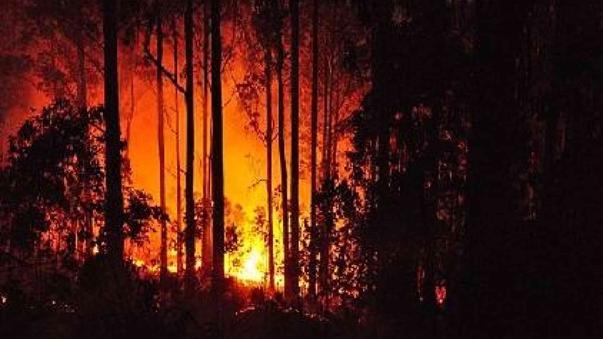 Forest fires in Madeira, Portugal in 2011 (Photo: anagh, via Wikimedia Commons)