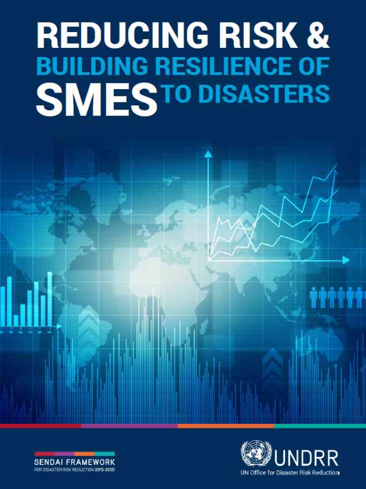 Cover image of Reducing Risk and Building Resilience of SMEs to Disasters
