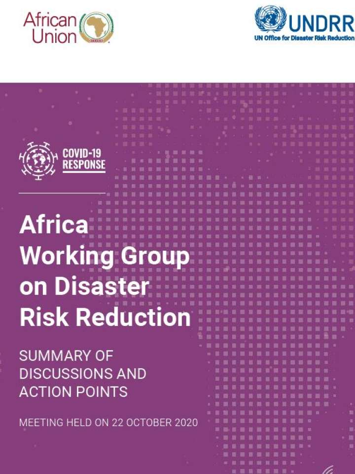 2nd Virtual African Working Group on DRR