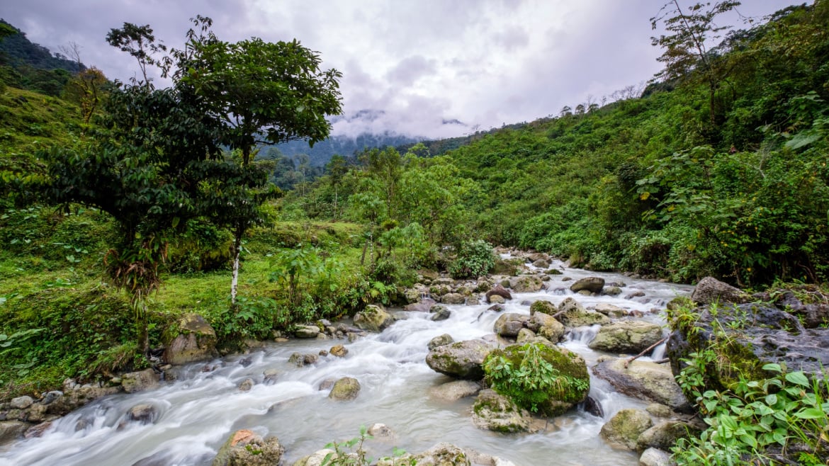 A river in Guatemala.