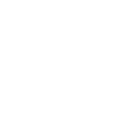 Electricity grid icon