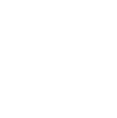 electricity icon