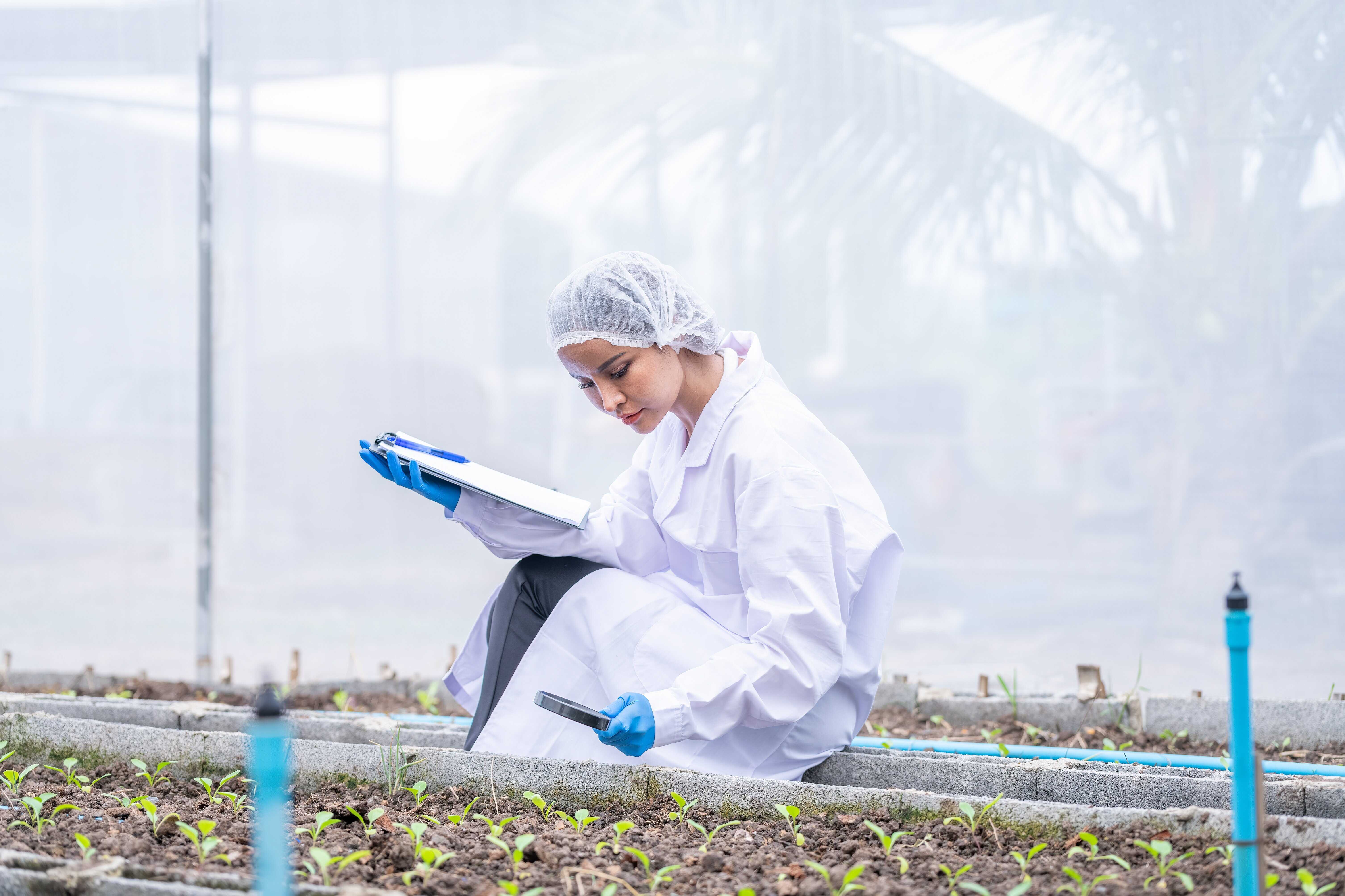 Professional researcher agriculture scientist working