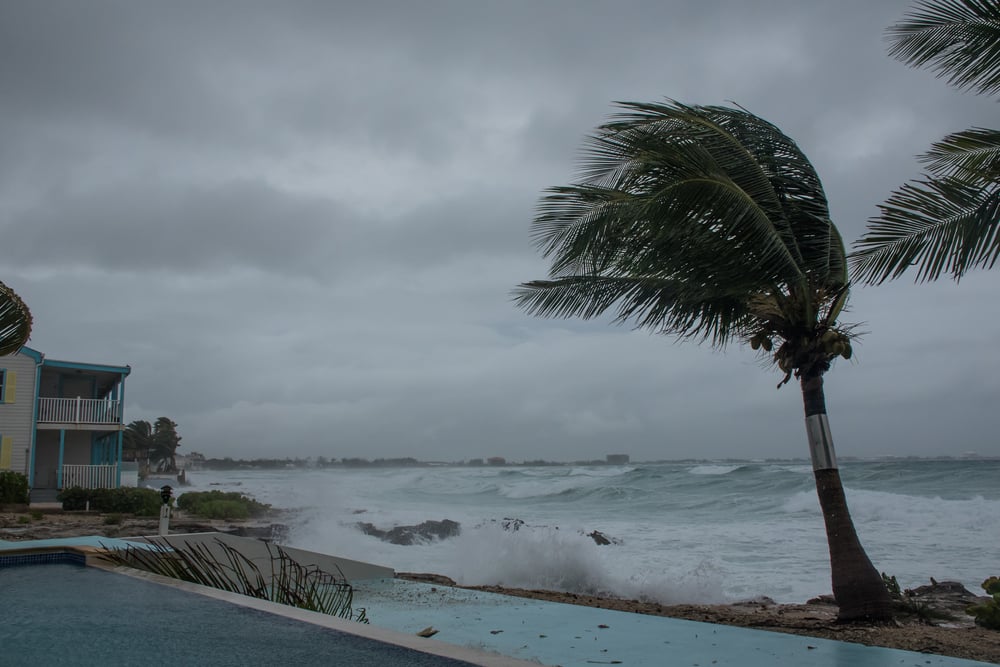 foto tsunamis