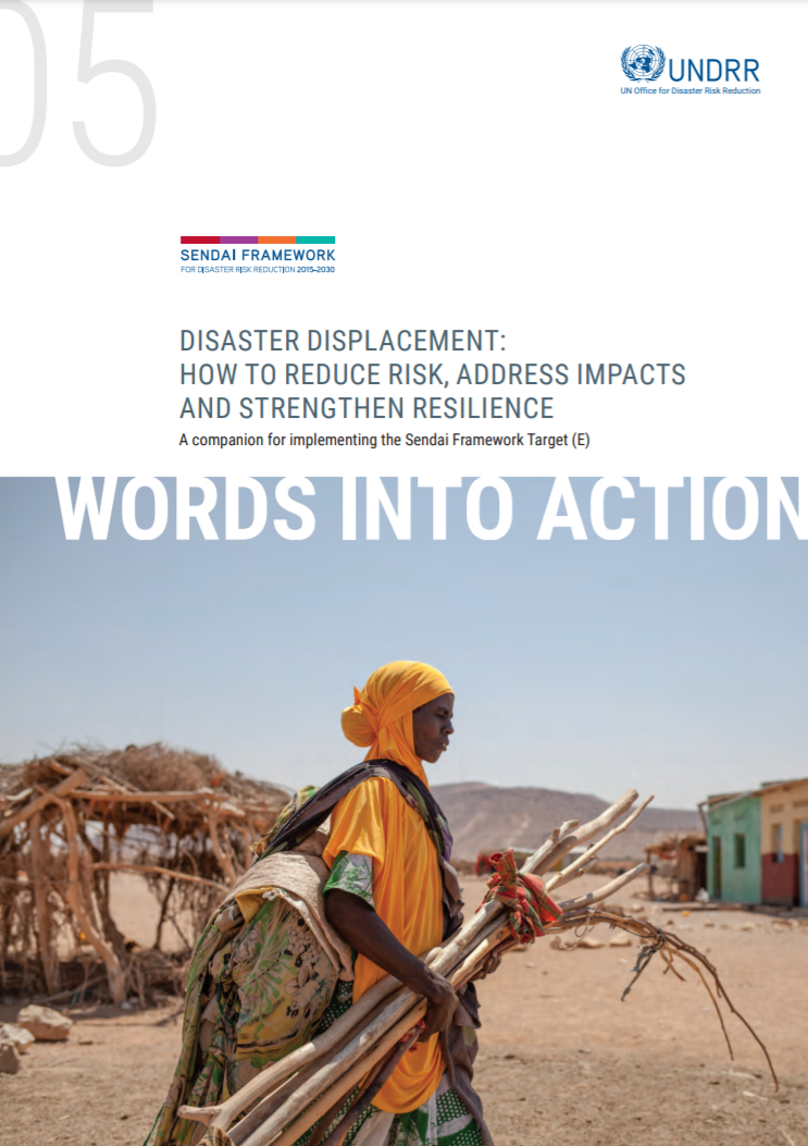 Words into Action Disaster Displacement Cover image