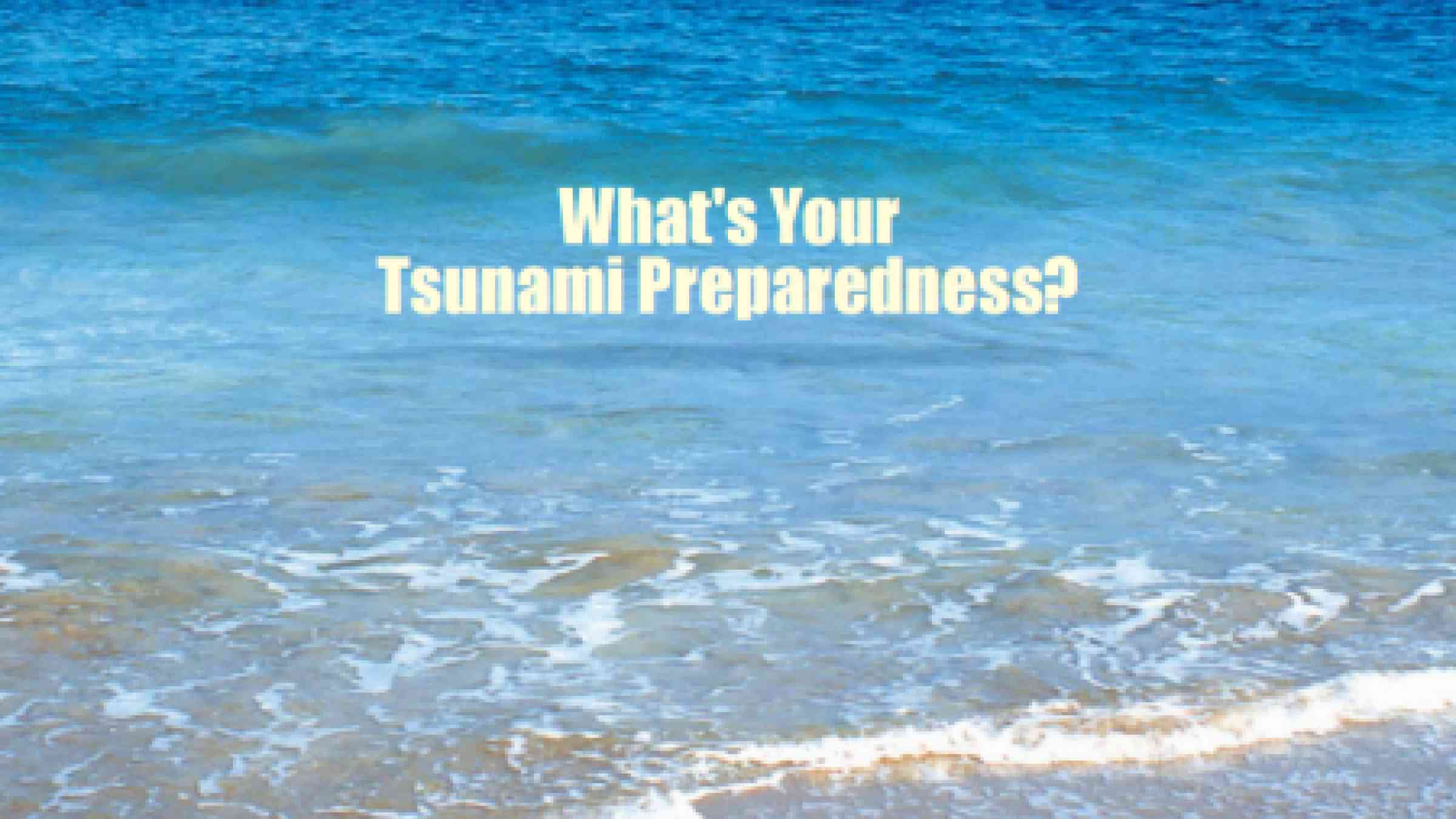 24 countries taking part in tsunami drill