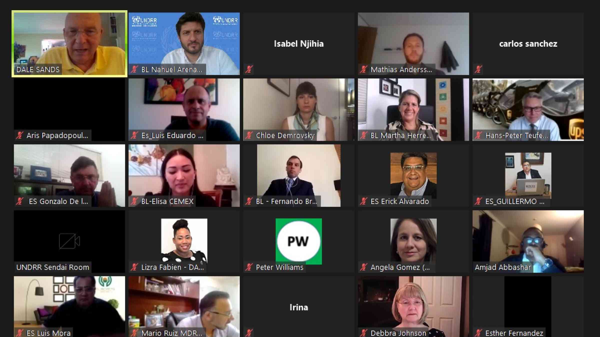 Screen shot of participants joining the ARISE AGM remotely