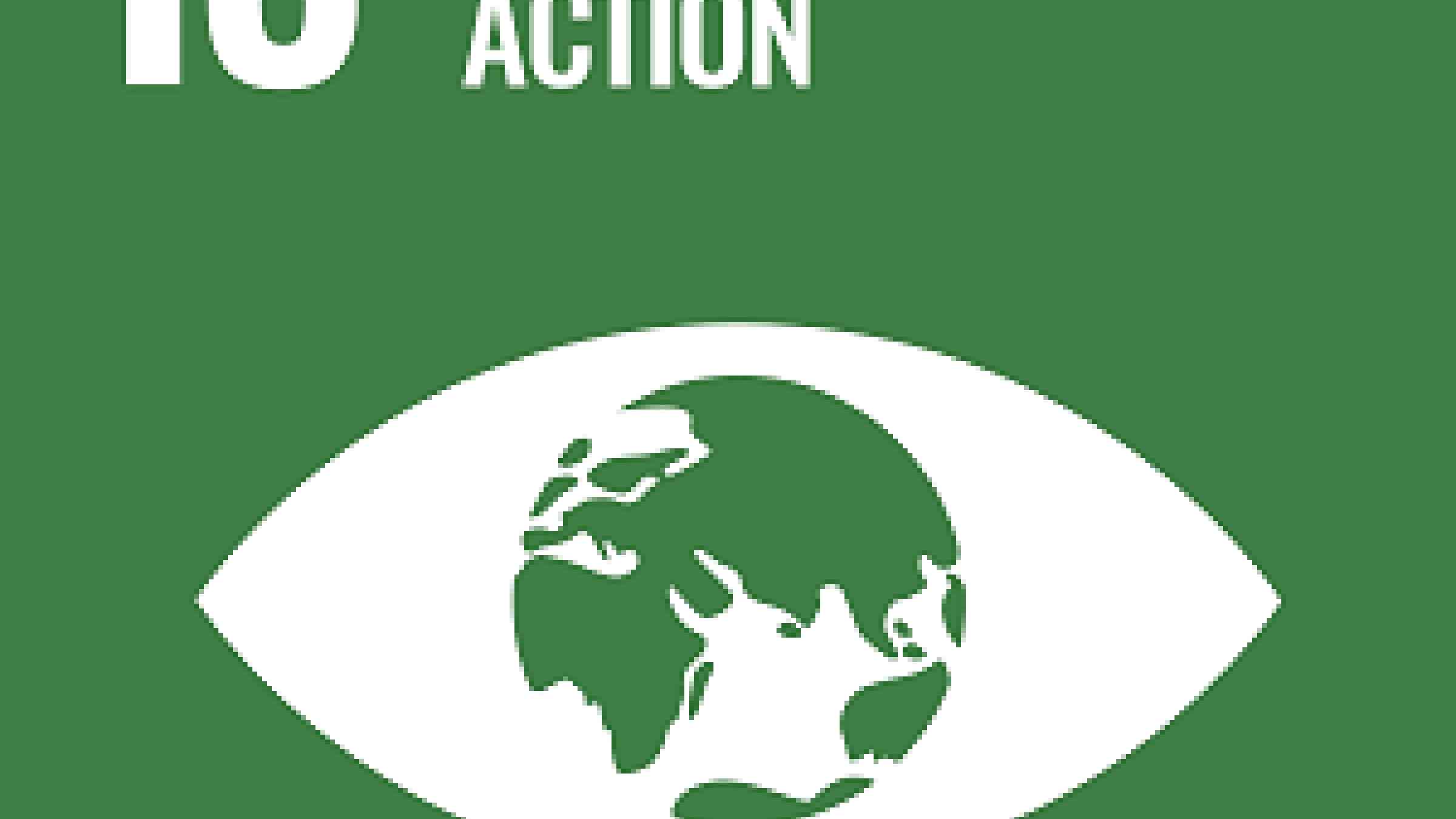 Symbol for SDG13 Climate Action