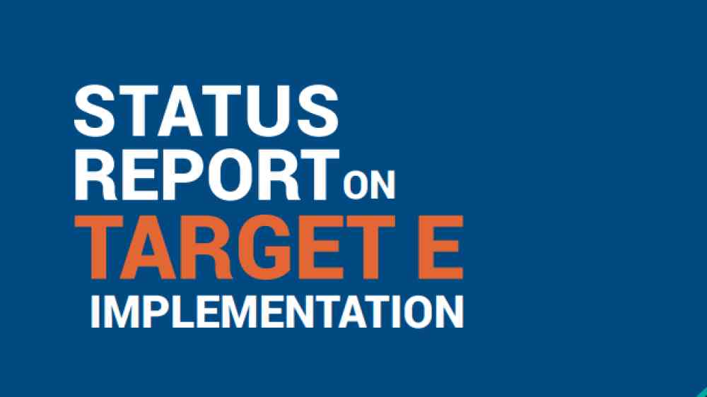 Report cover for Status report on target E implementation with image and title text