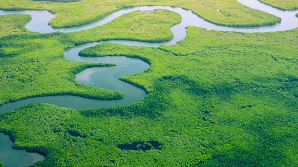 Nature based solutions