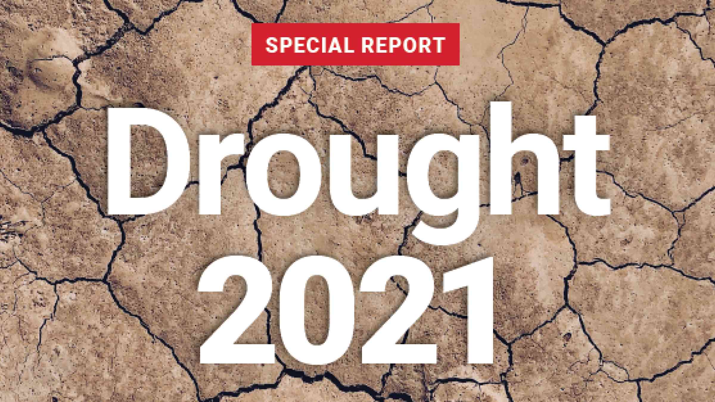 Cover image for the GAR Special Report Drought