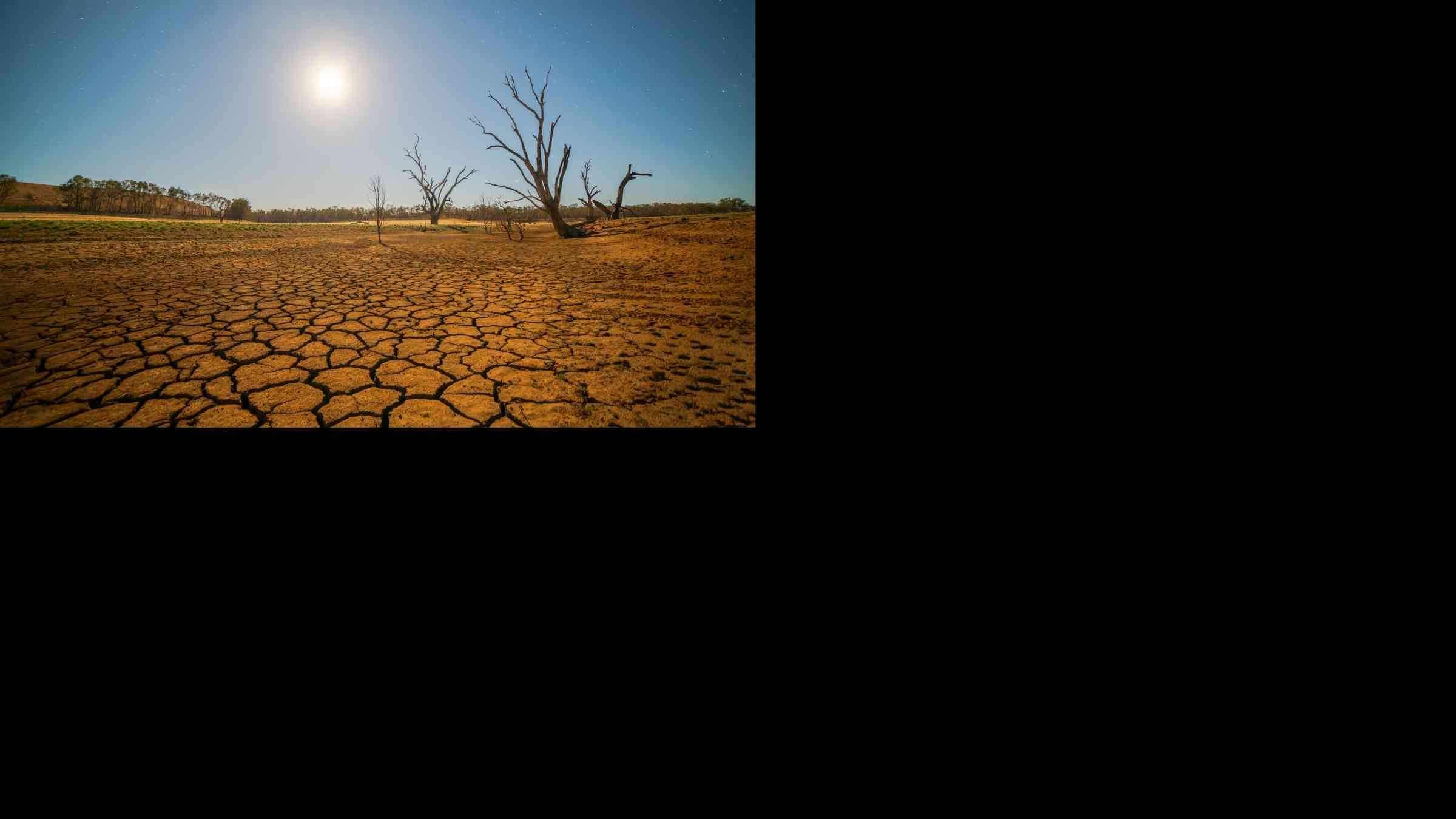 Drought cracked desert landscape