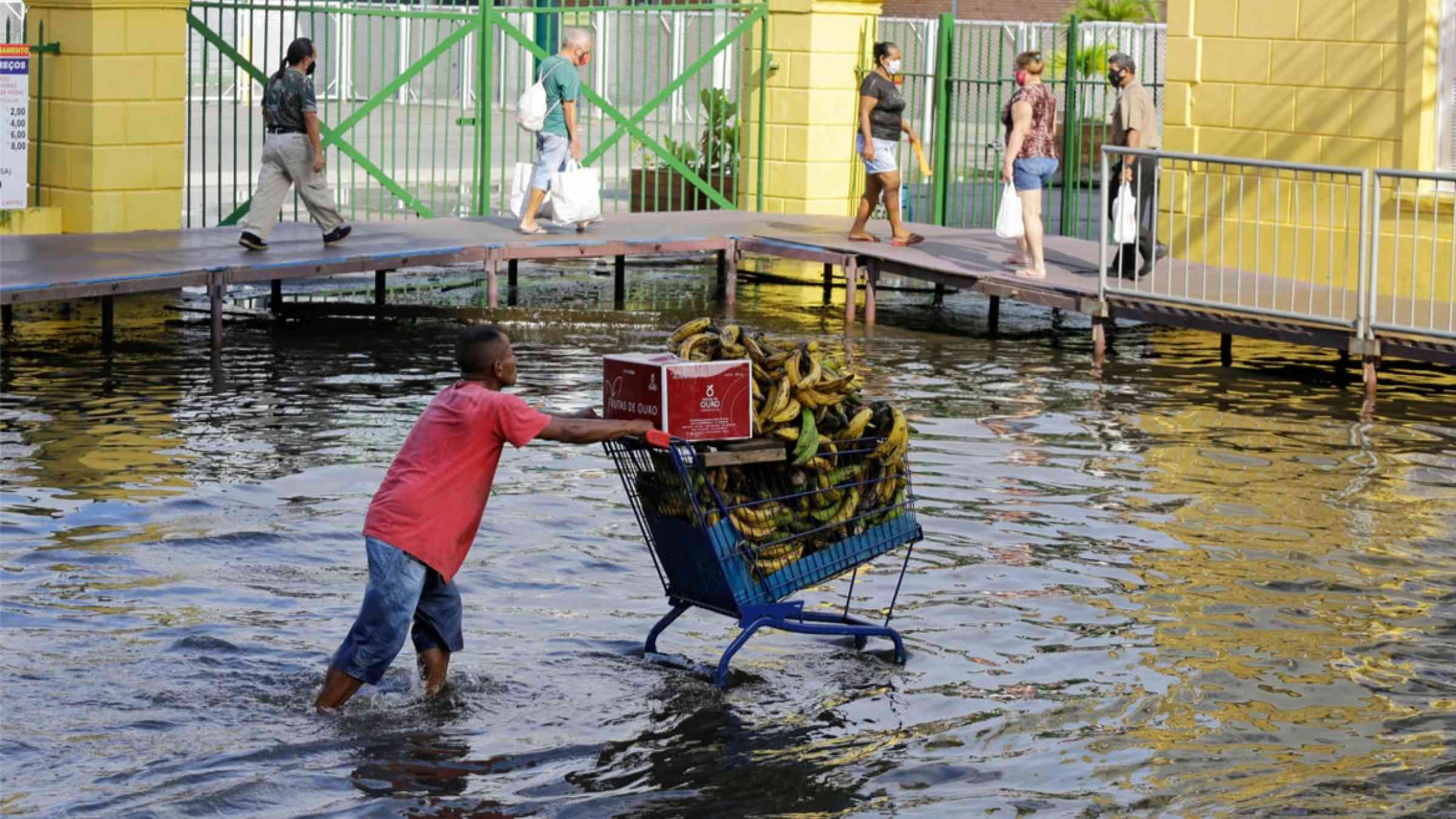  street vendor push his cart full of bananas through a flooded street in downtown during the rise of Negro River in Manaus, Brasil (2021).