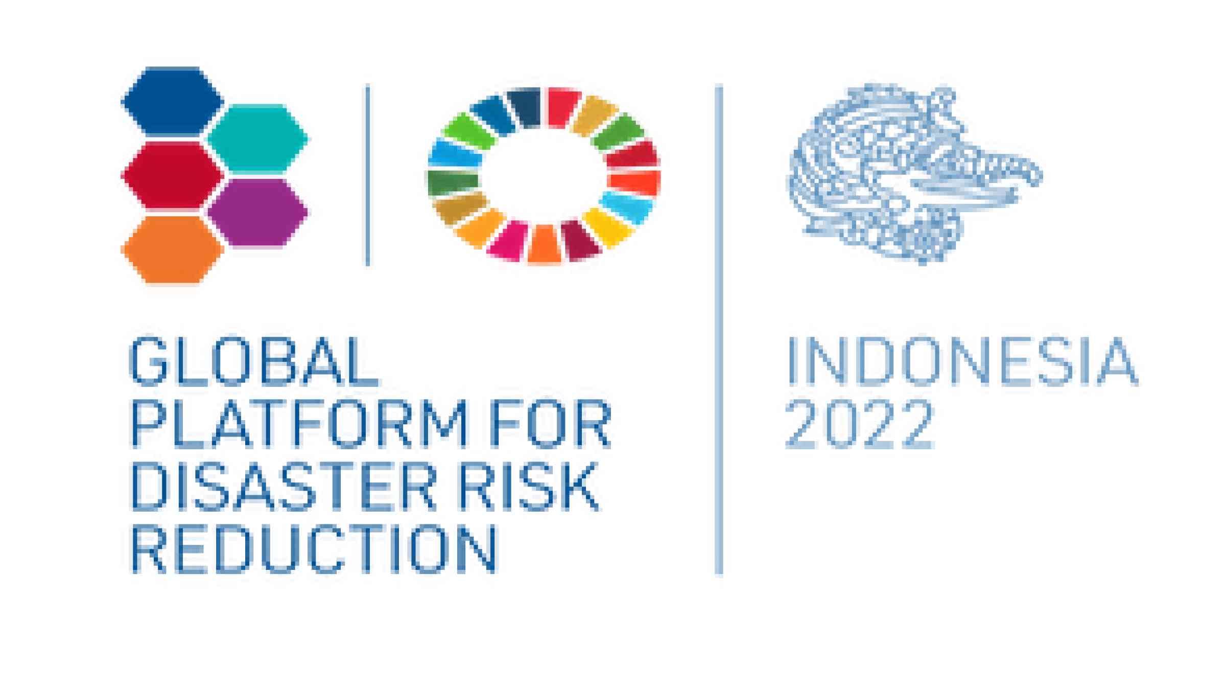 Global Platform for Disaster Risk Reduction 