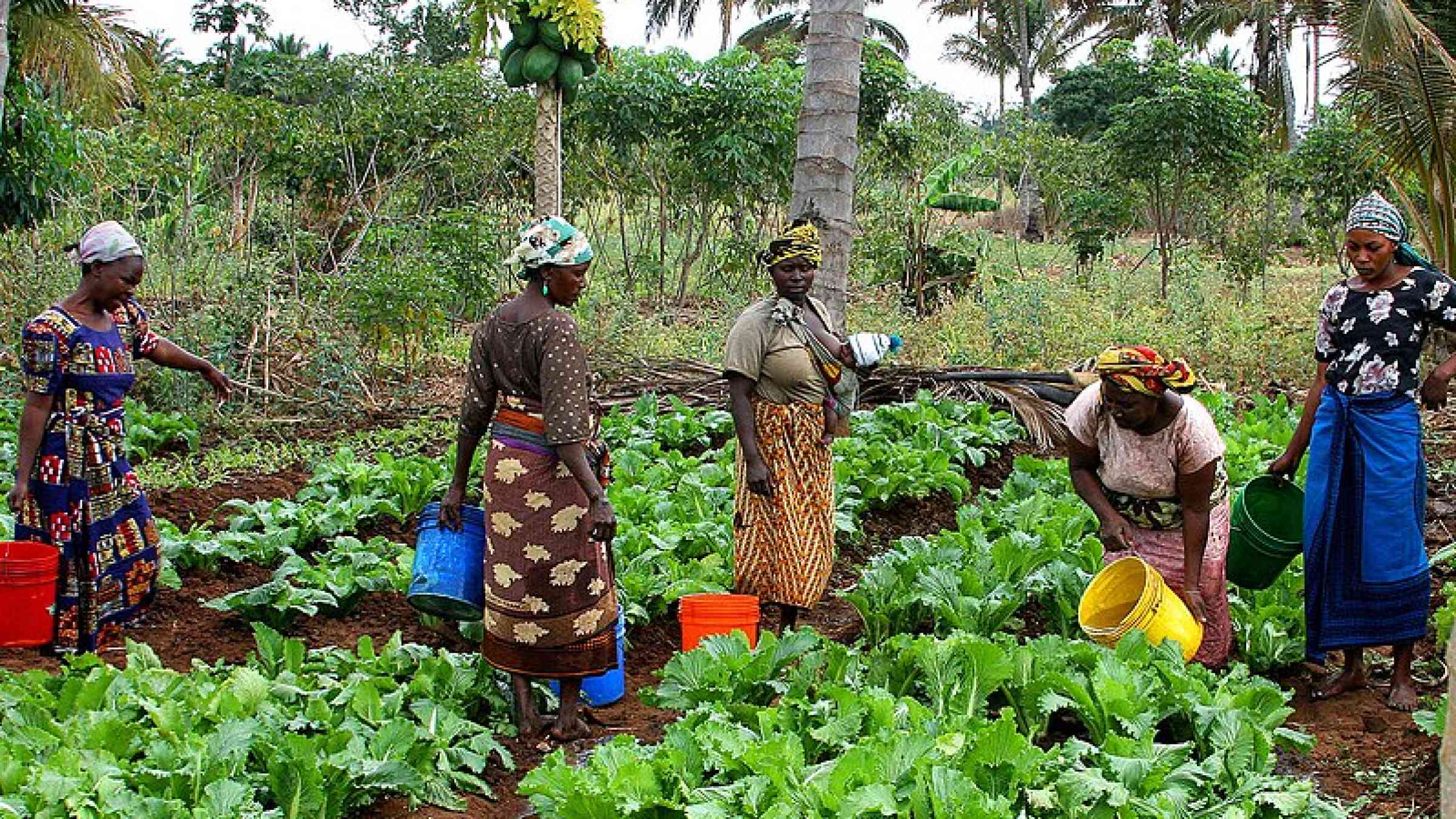 Wanawake Kwanza (Women First) growers association in Maza village, Morogoro, Tanzania