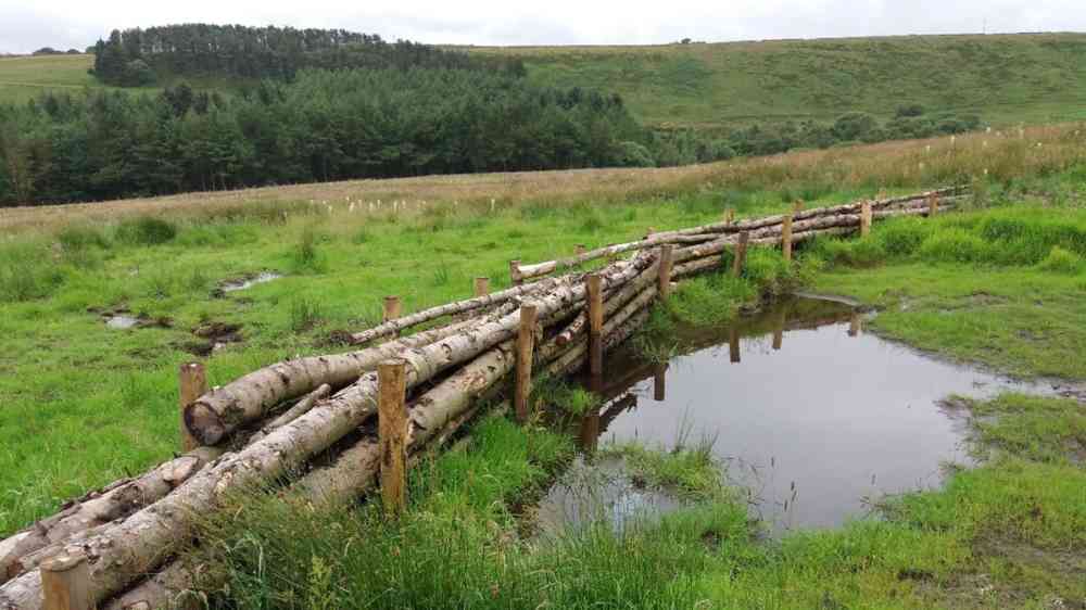 Smithills Estate leaky dam Greater Manchester