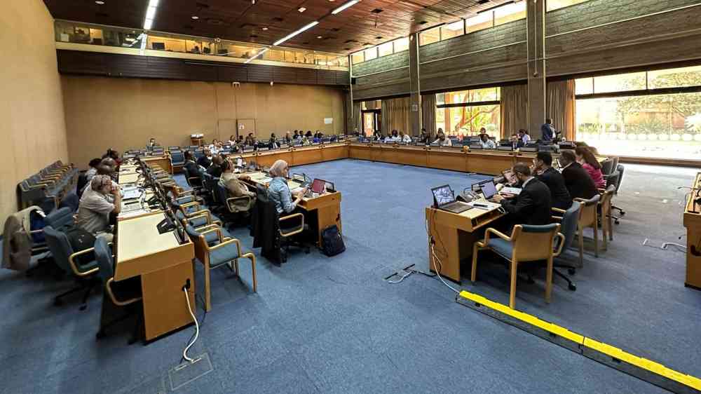 Climate and disaster risk management workshop
