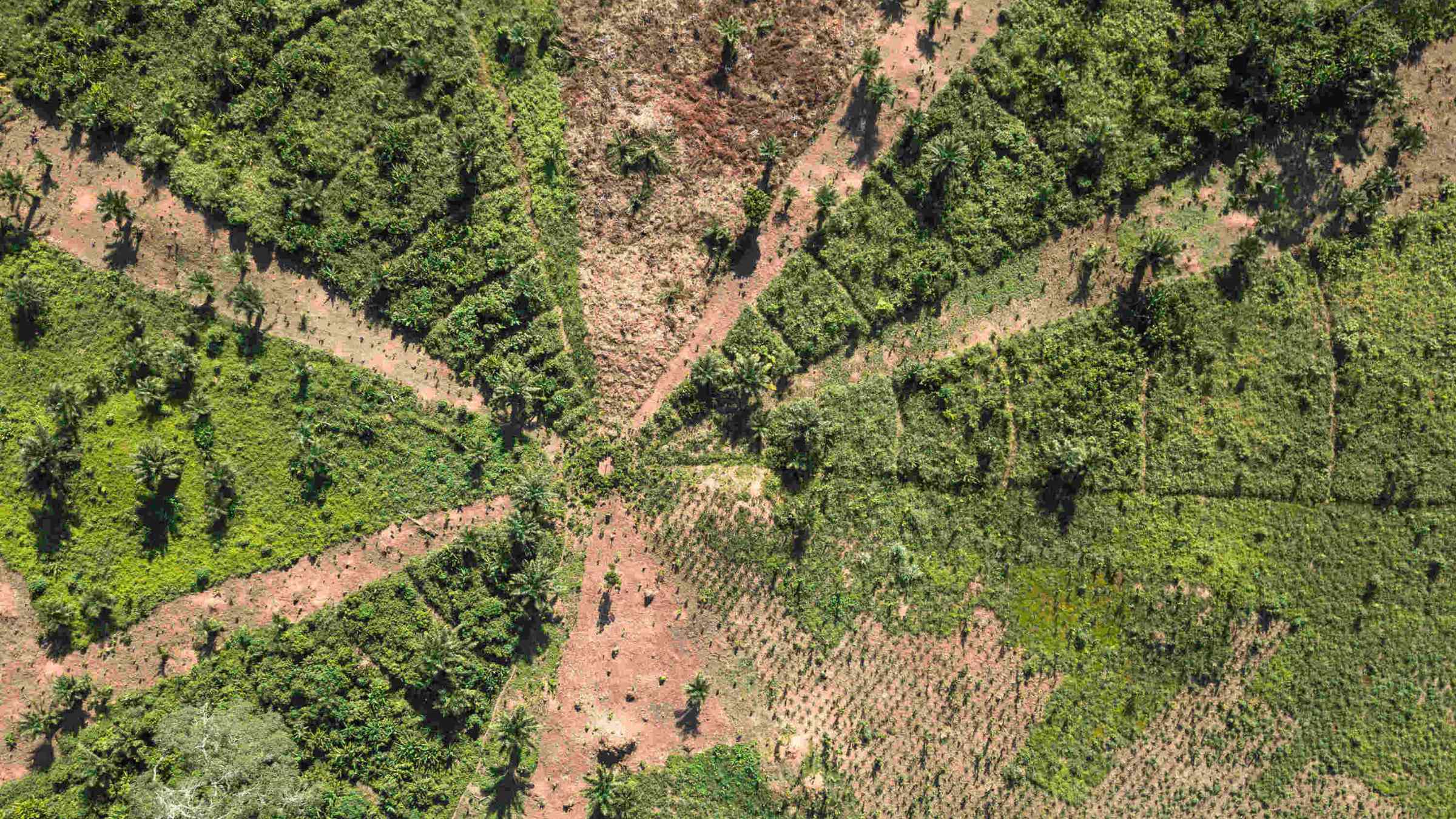 Land restoration