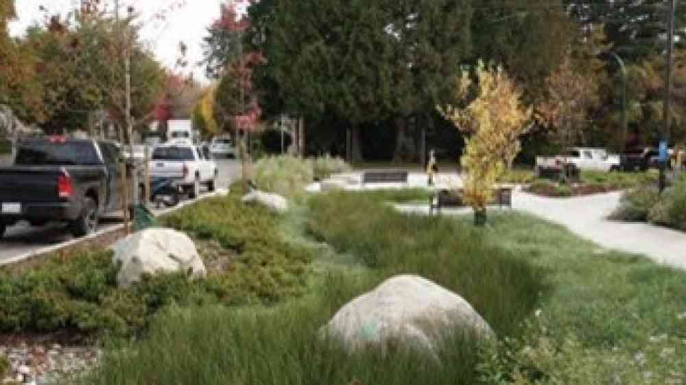 A rain garden and bioswale in Vancouver, British Columbia, Canada