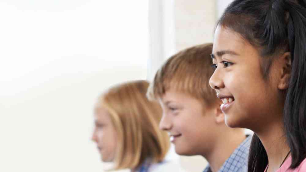 Elementary Students In Computer Class