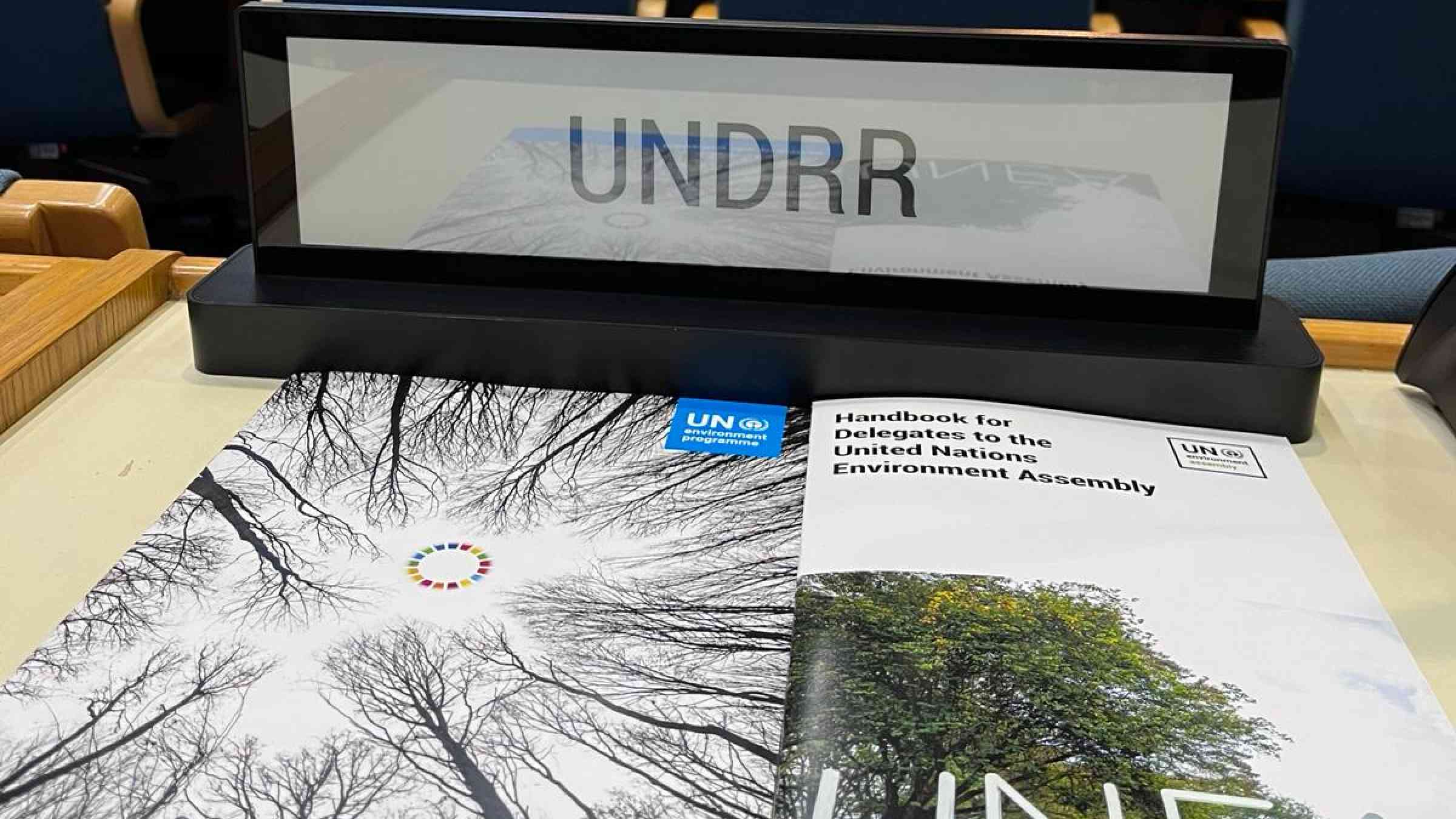 UNDRR at UNEA-6