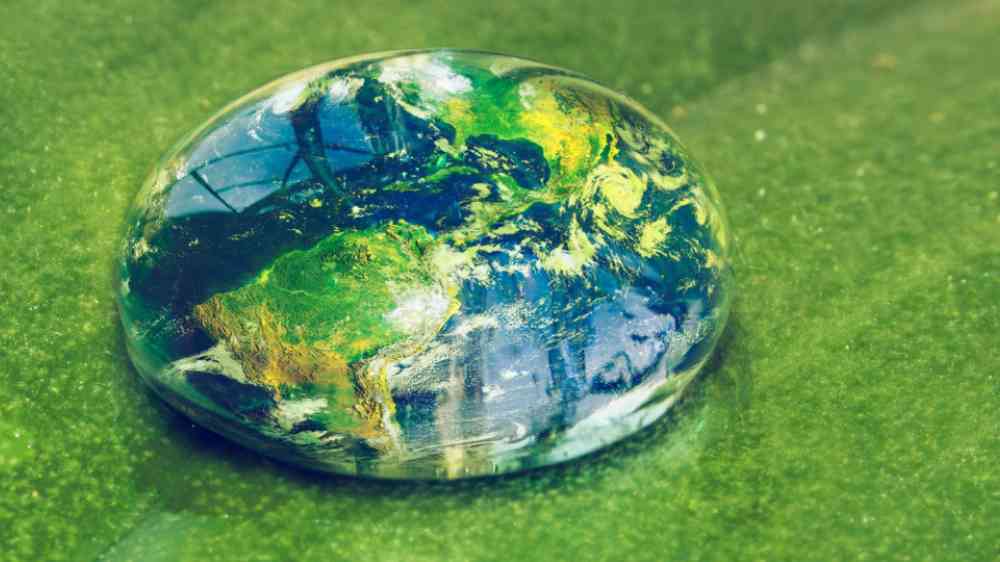 Water drop representing Earth on a leaf