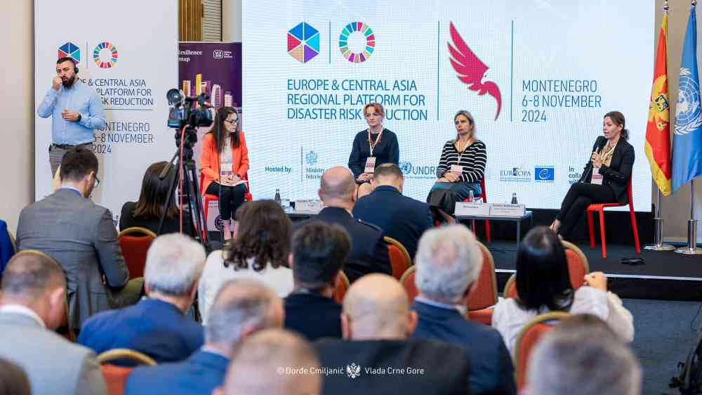 MCR2030 panel session during the Regional Platform