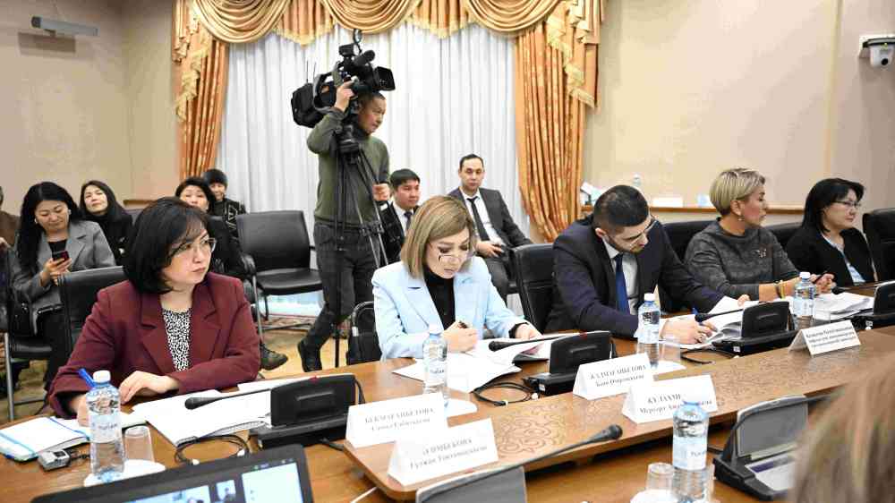 Kazakhstan Inclusion Council