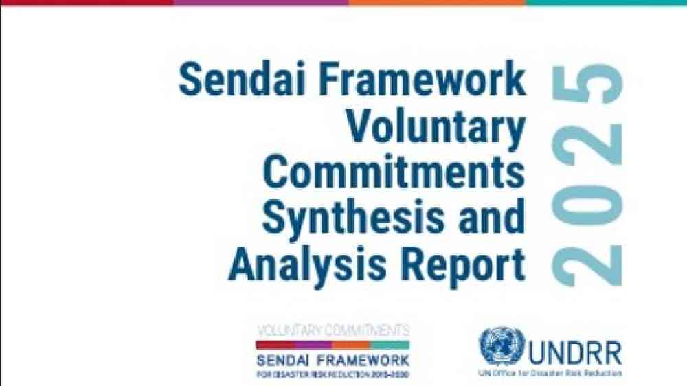 SFVC Report 2025 title