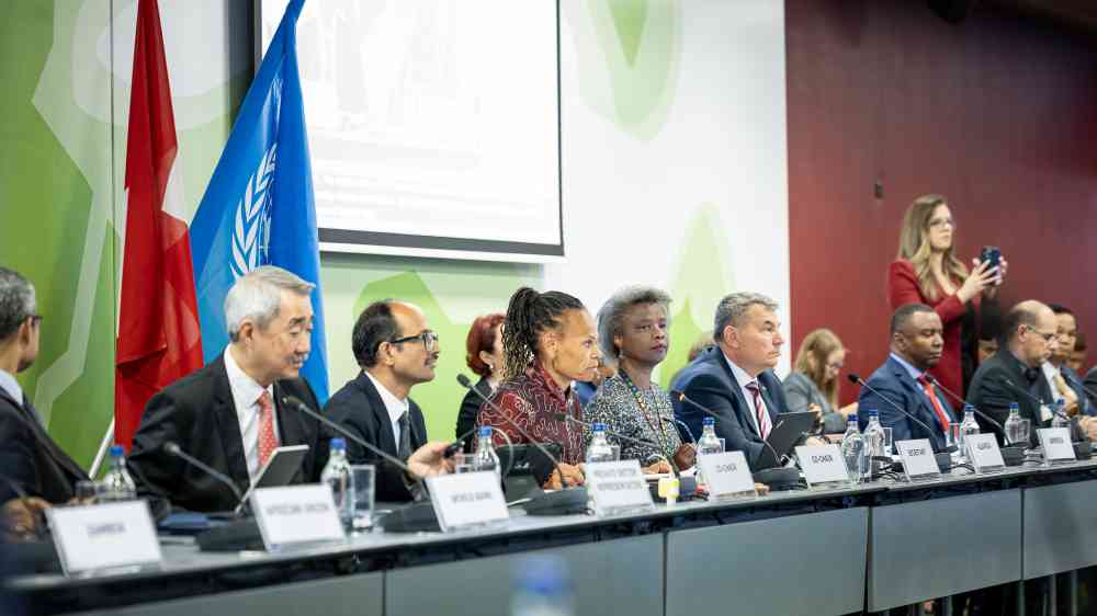 Preview image for Day 3 of GPDRR 2025