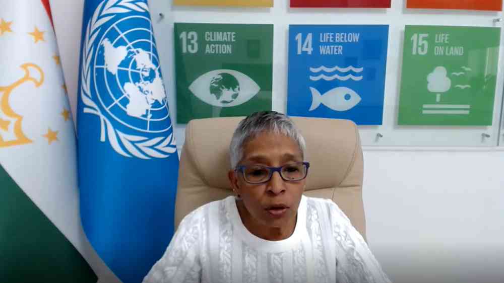 10th UN SLG RC Tajikistan Screenshot