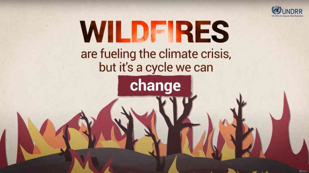 Wildfires are fueling the climate crisis