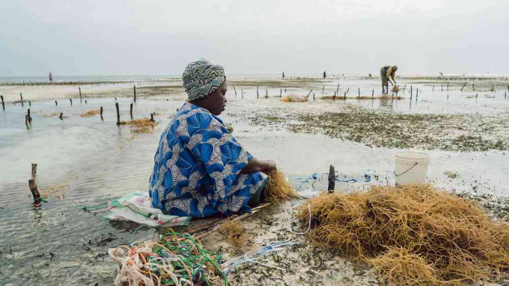 woman working on the beach