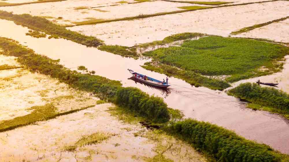 Aerial photo of boats in Arial Beel, Dhaka, Bangladesh