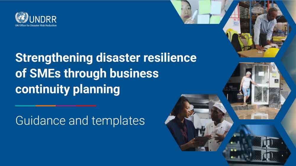 Disaster resilience of SMEs