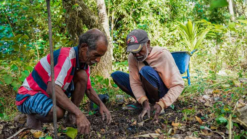 Two men planting seeds
