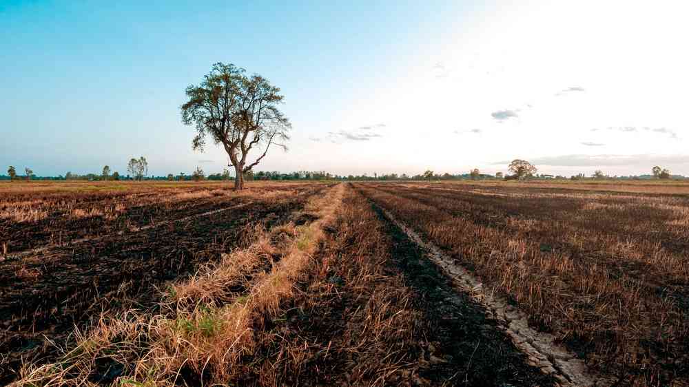 Las decisiones de hoy marcarán los impactos de El Niño 