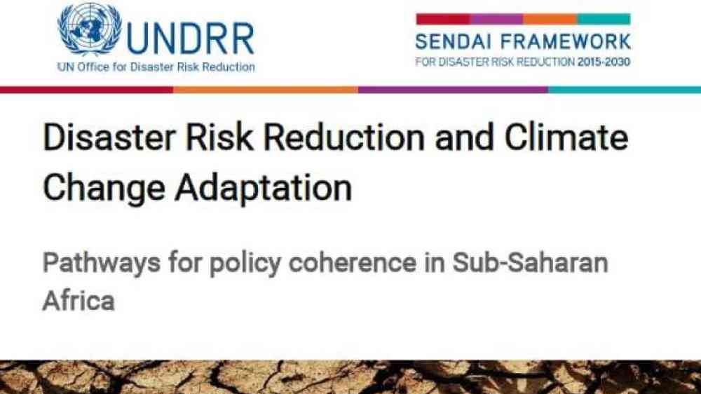 UNDRR 2021
