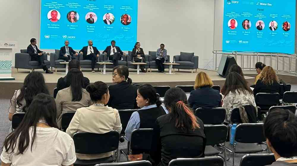 Participants at UNDRR event