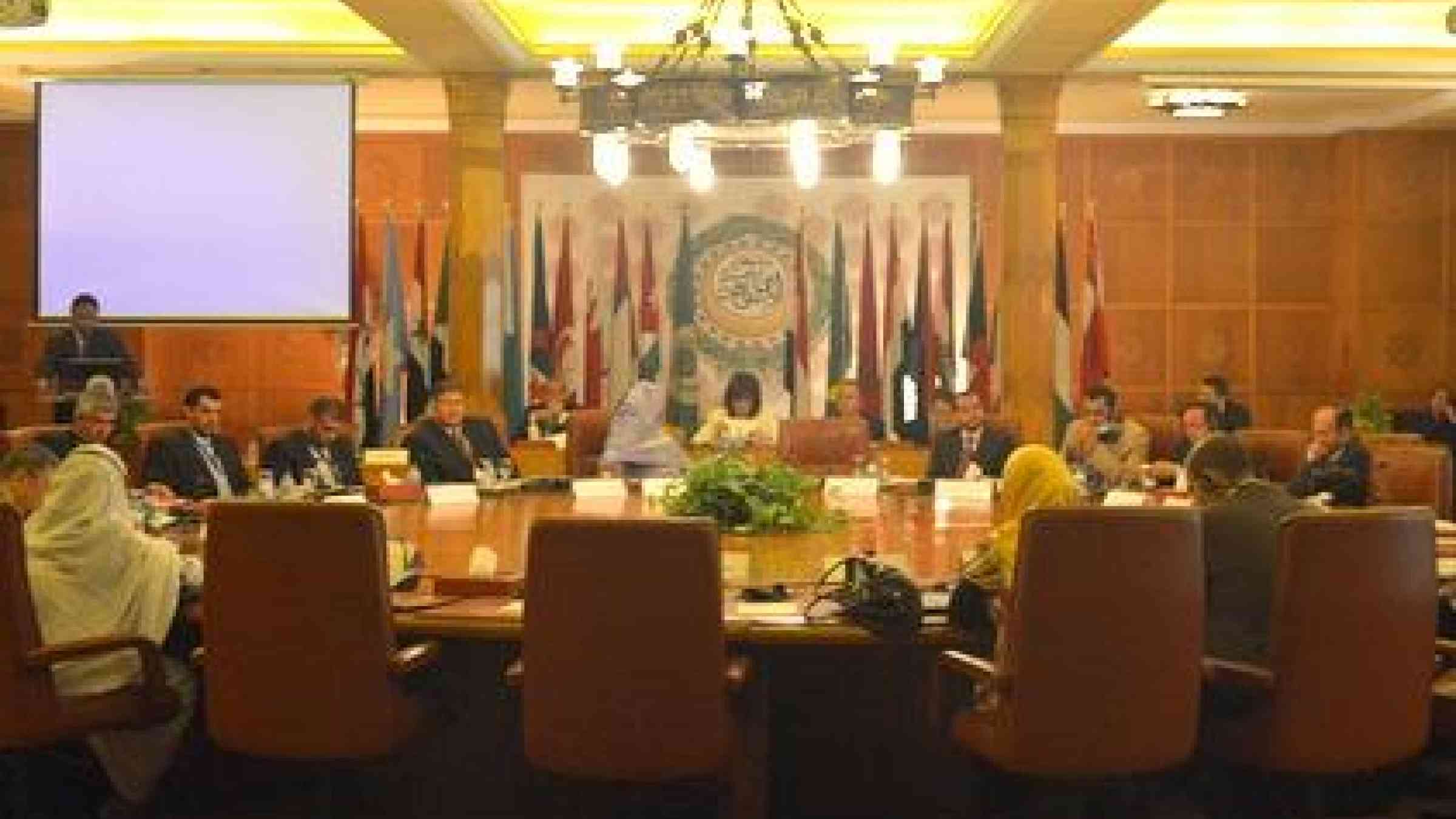 <b>Leadership focus: </b>The consultation stressed the importance of political will for successful disaster risk reduction.