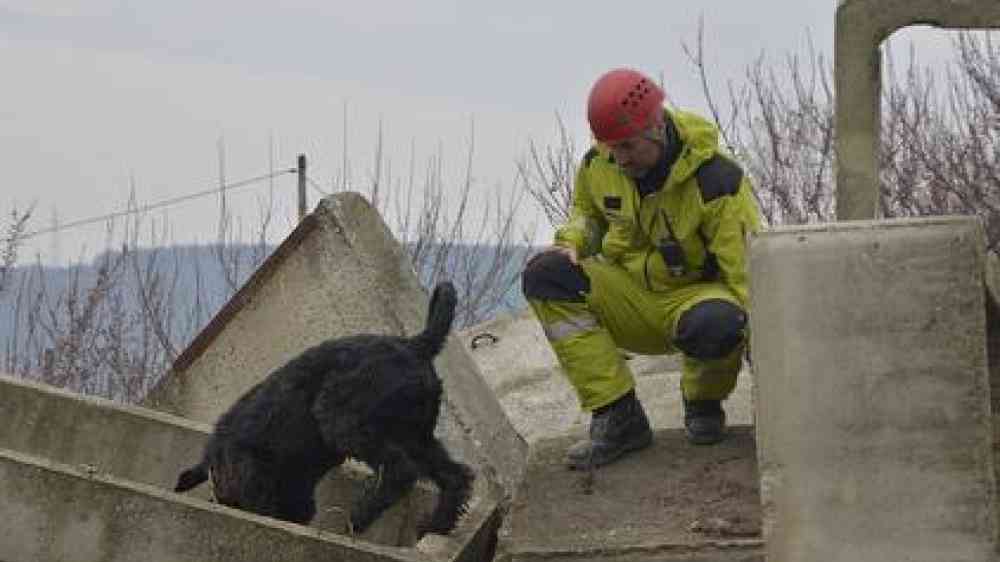 The legislation paves the way for stronger cooperation and more EU civil protection exercises, such as this one in Bulgaria earlier this year.
