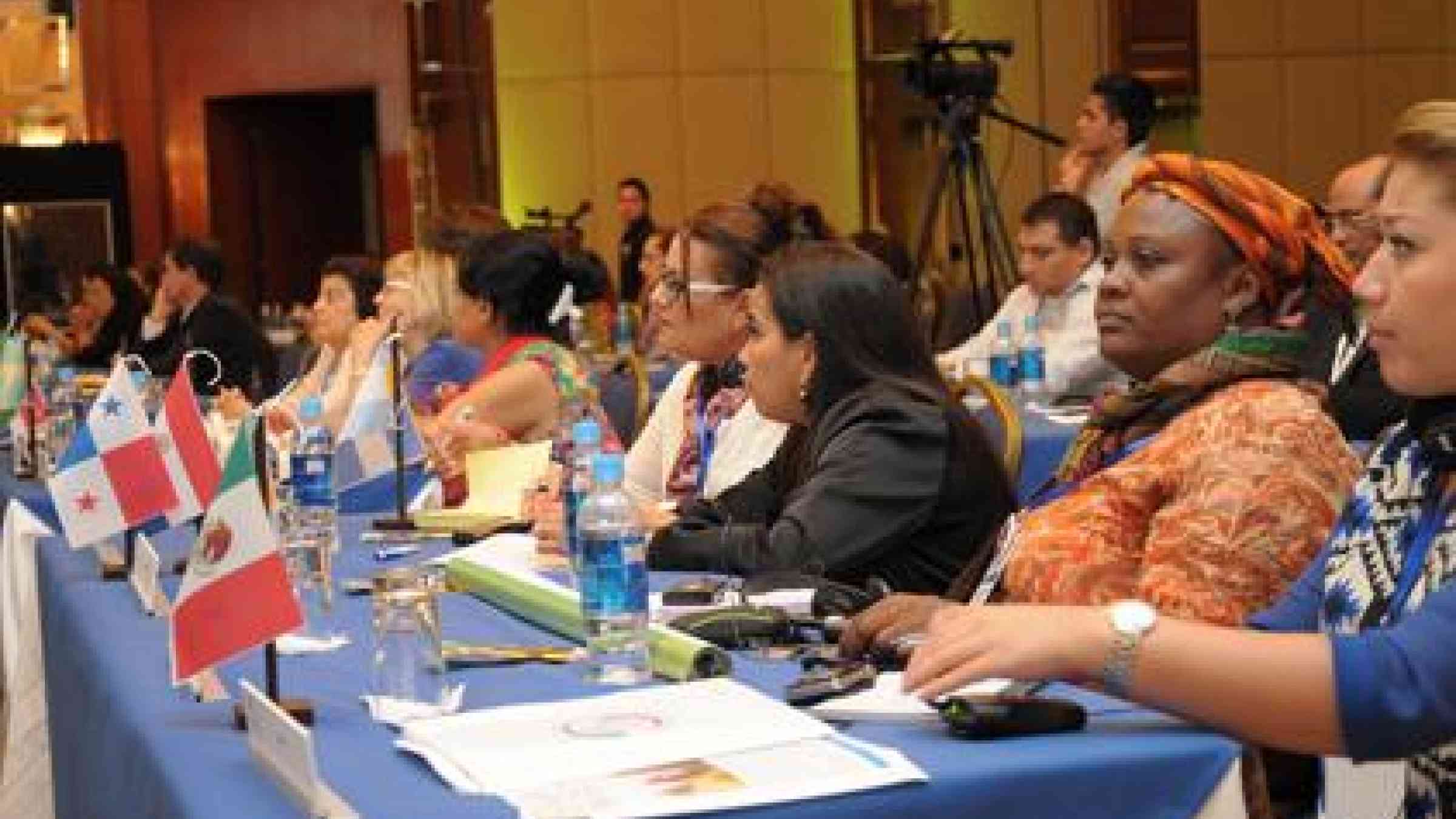 The conference declaration benefited from the participation of national and local government officials, academics, members of civil society, youth groups and non-government organizations from some 30 countries.