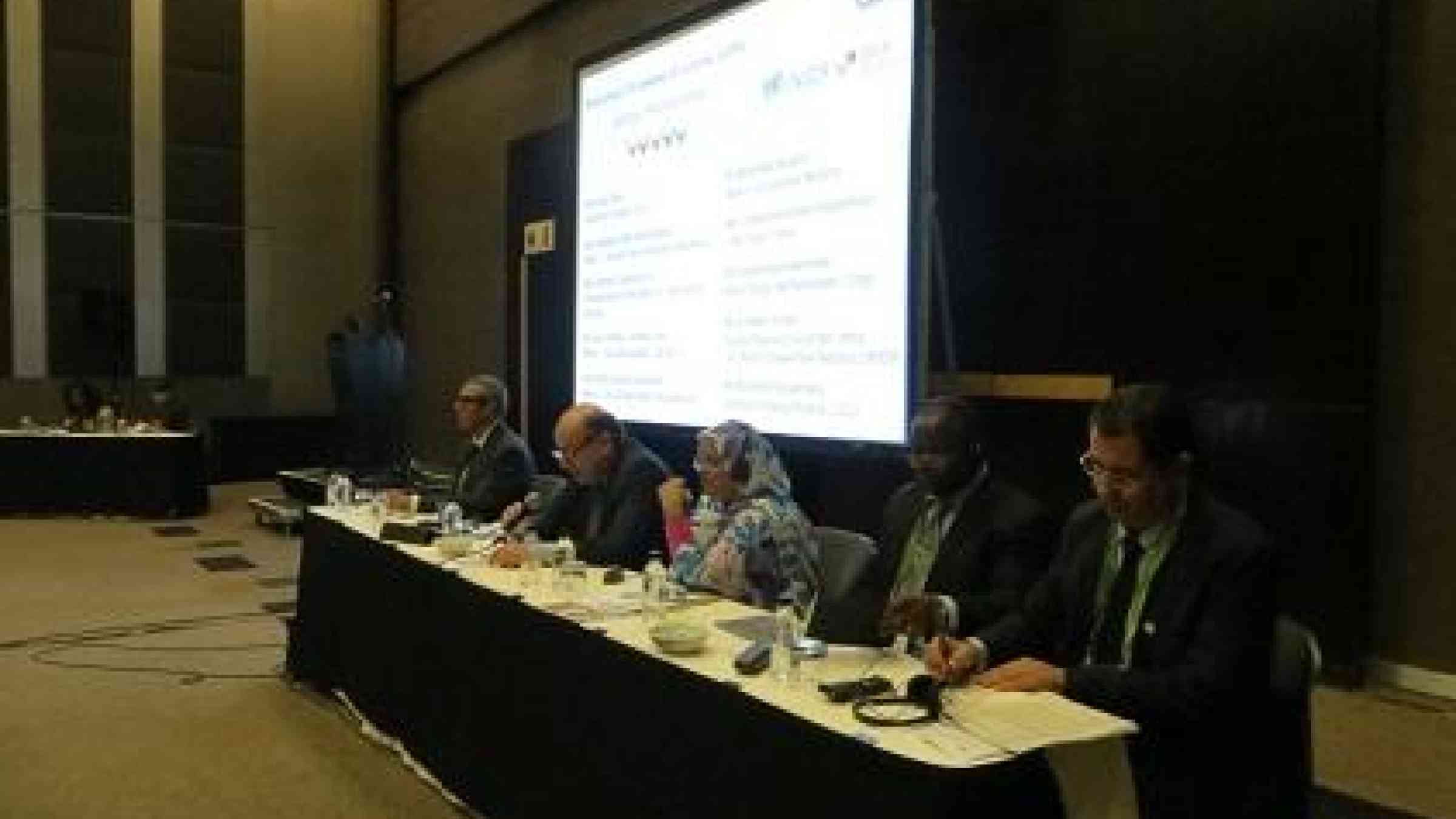 Mayors from Mauritania, Cape Verde, Mozambique and Morocco at the Africities Session (Photo: UNISDR)