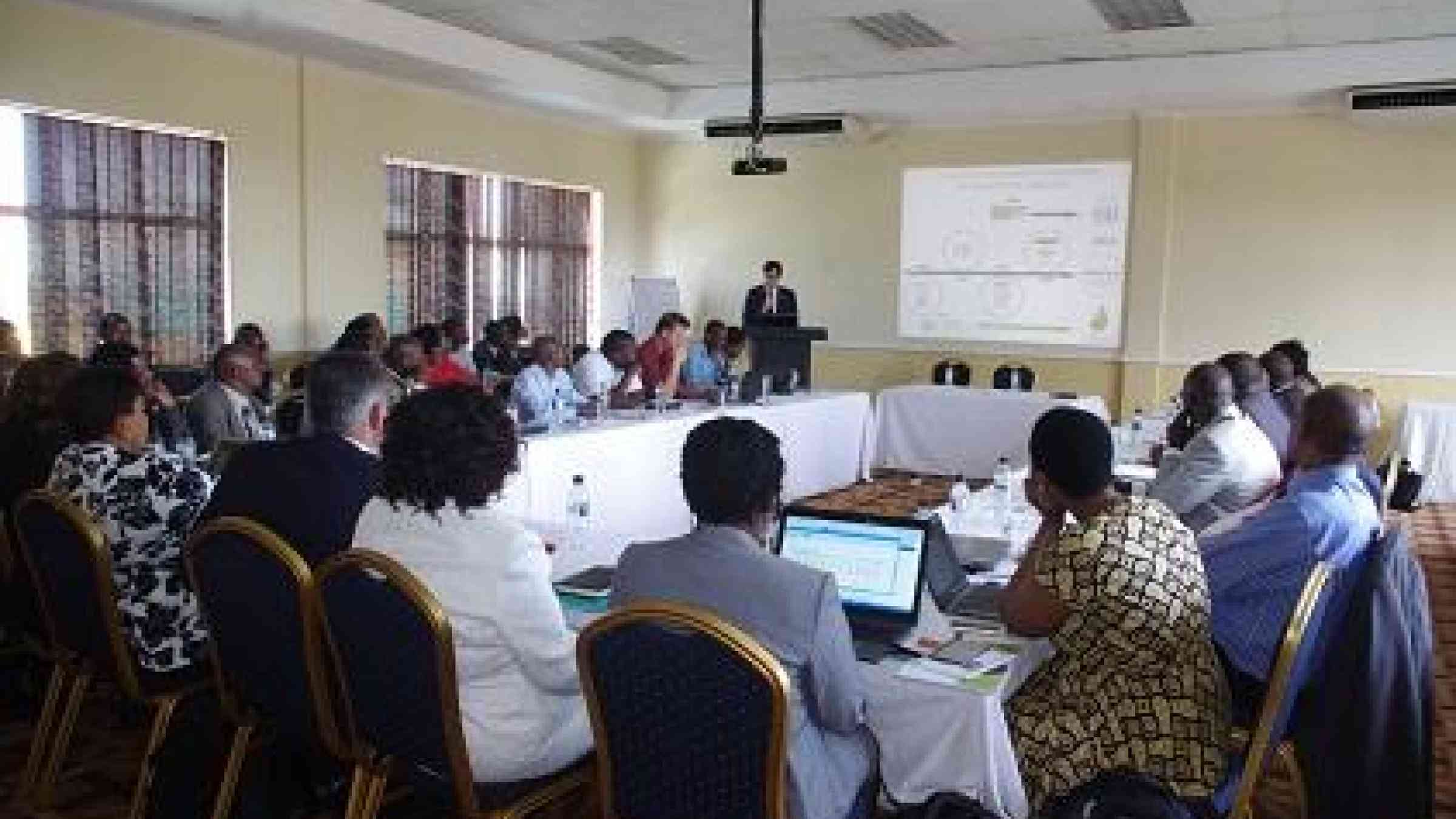 Participants in session at the Malawi peer review (Photo: UNISDR)