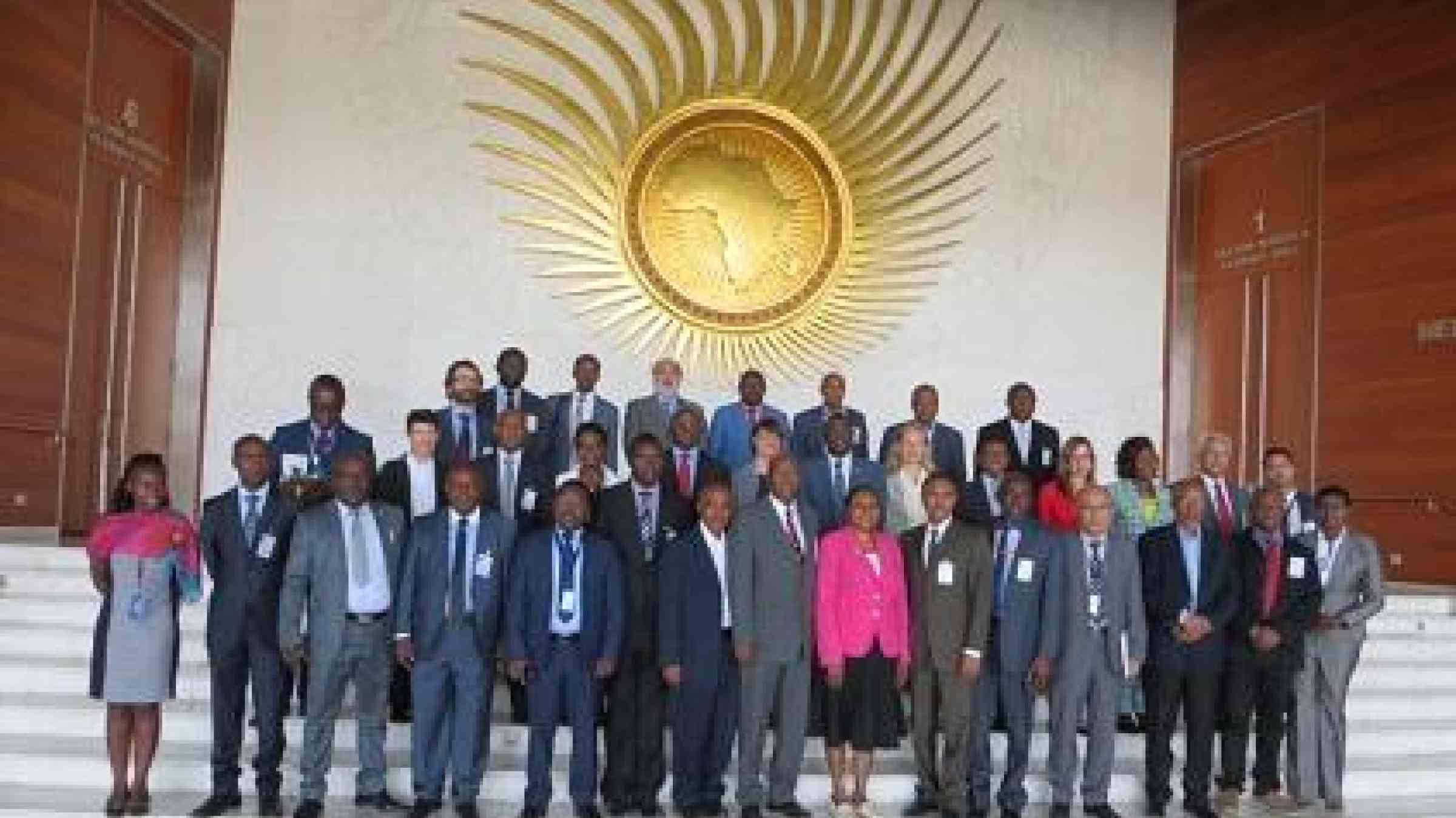 Participants at the Africa Working Group meeting in Addis Ababa, Ethiopia (Photo: UNISDR)