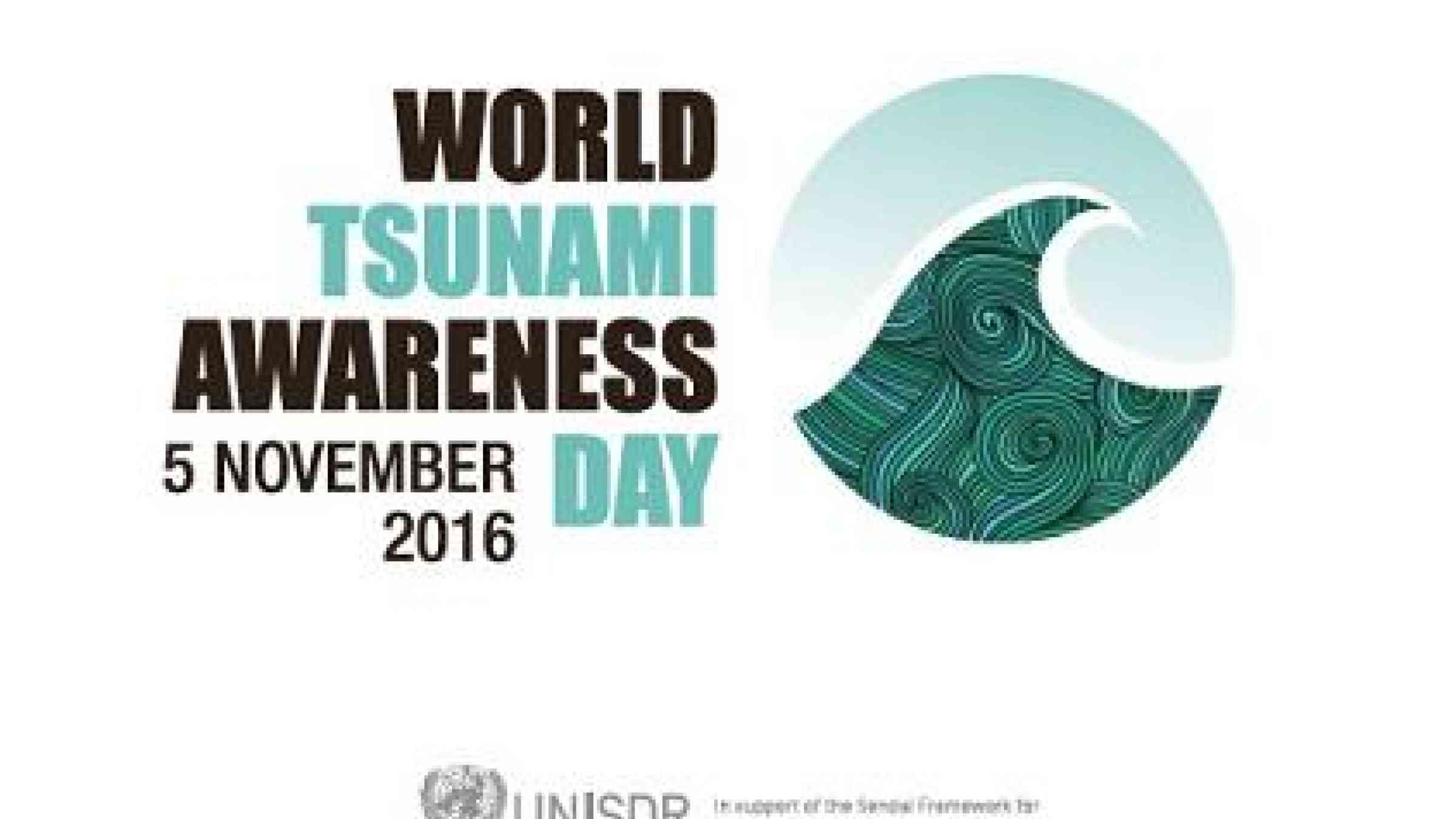 The first ever edition of World Tsunami Day is on Saturday (Photo: UNISDR)