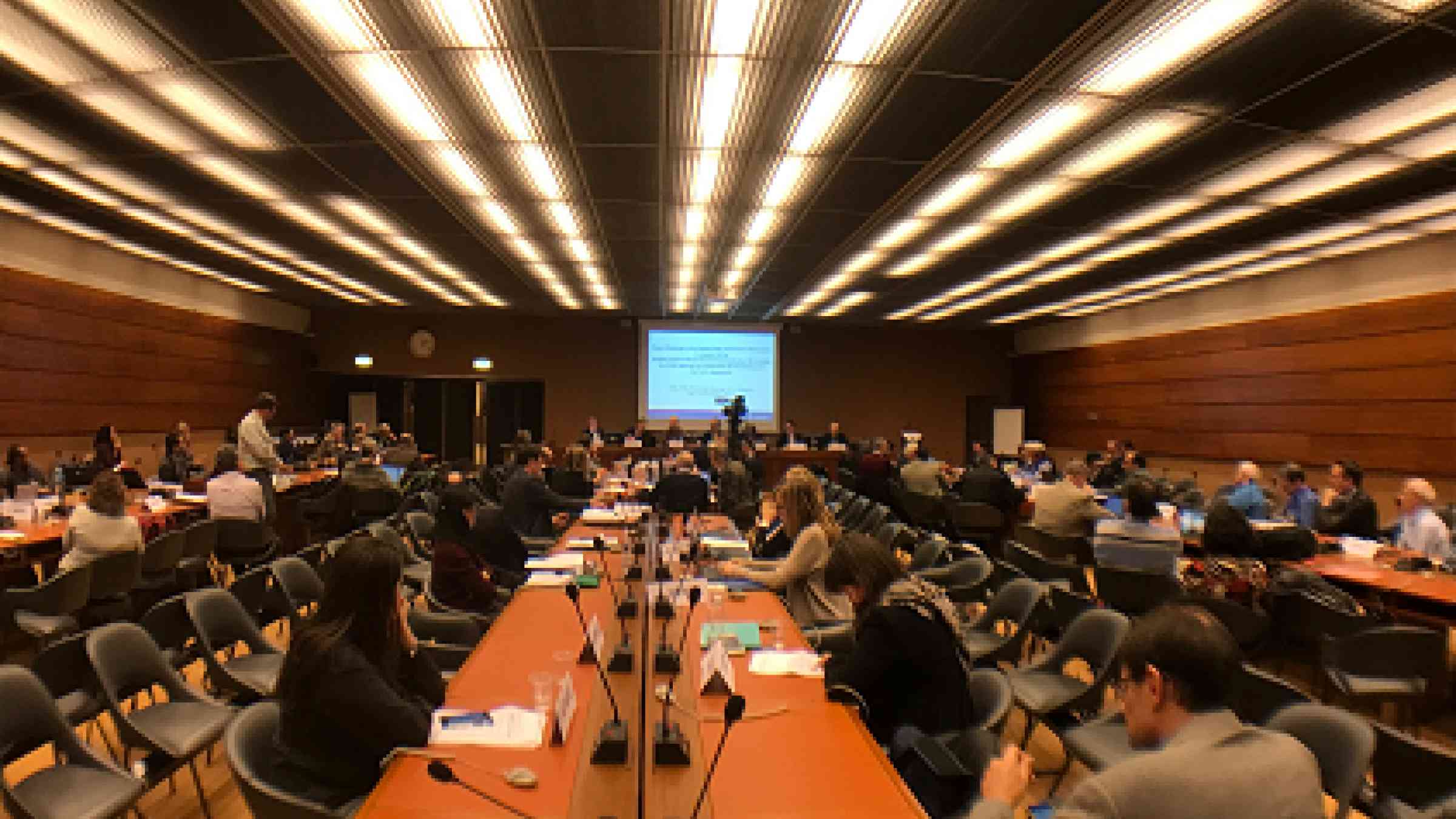 Partipants at the Expert Group on the Global Risk Assessment Framework Meeting, Geneva, 20-21 November 2017 (Photo: UNISDR/SLandelle)