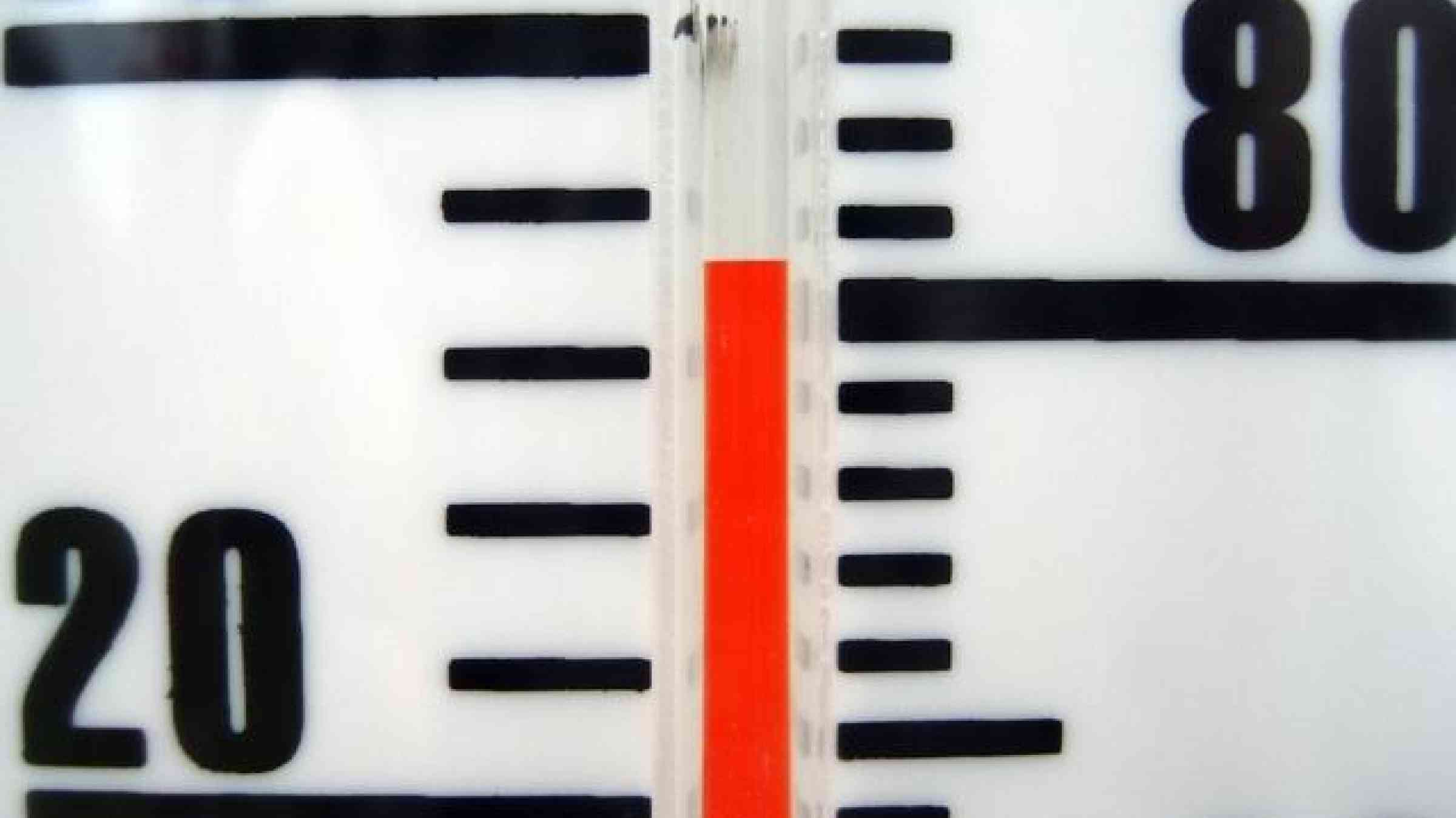 Temperature gauge (c) Petria Follett