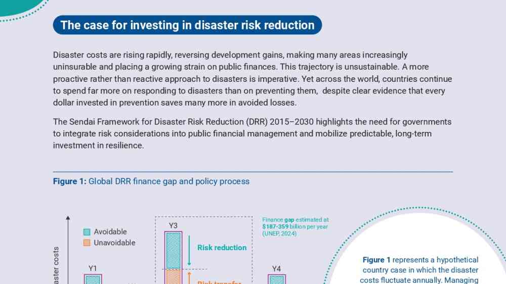 Building National Systems for DRR Financing thumbnail