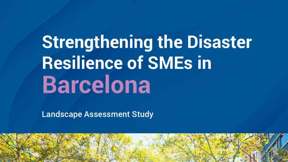 Strengthening the disaster resilience of SMEs in Barcelona landscape assessment study thumbnail